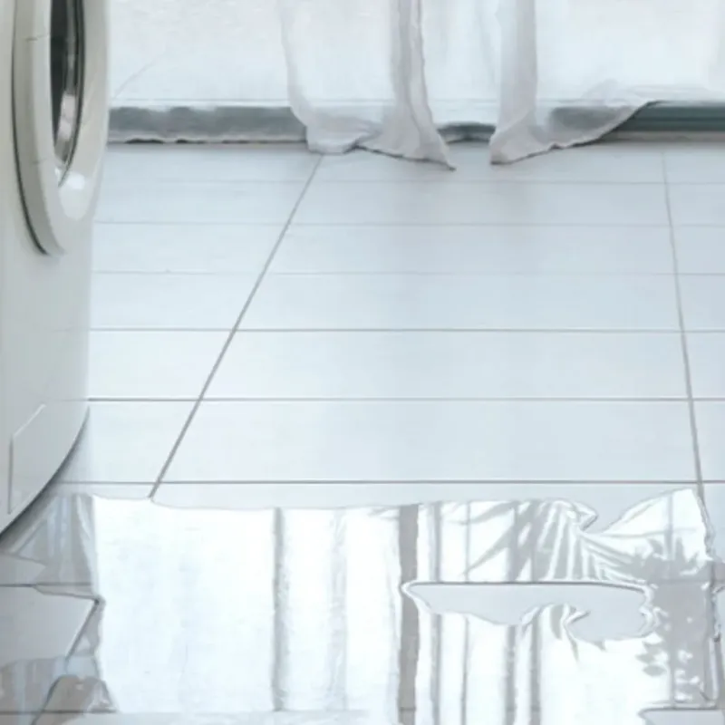 Appliance Leak Cleanup in Whiting, IN