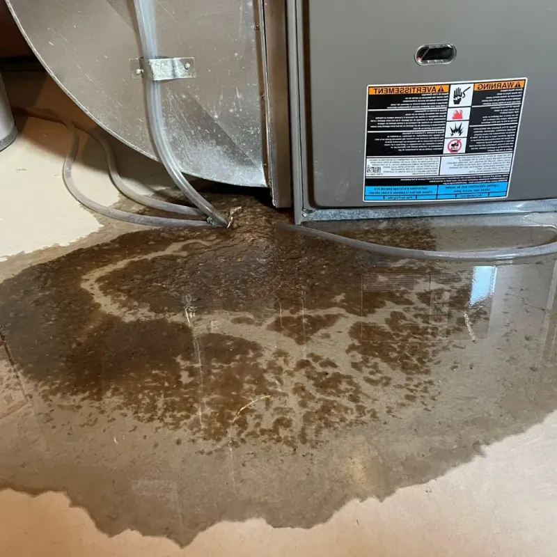 Pipe Burst and Leak Restoration in Whiting, IN