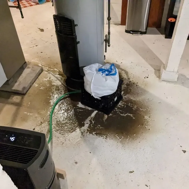 Sewage Backup Cleanup Service in Whiting, IN